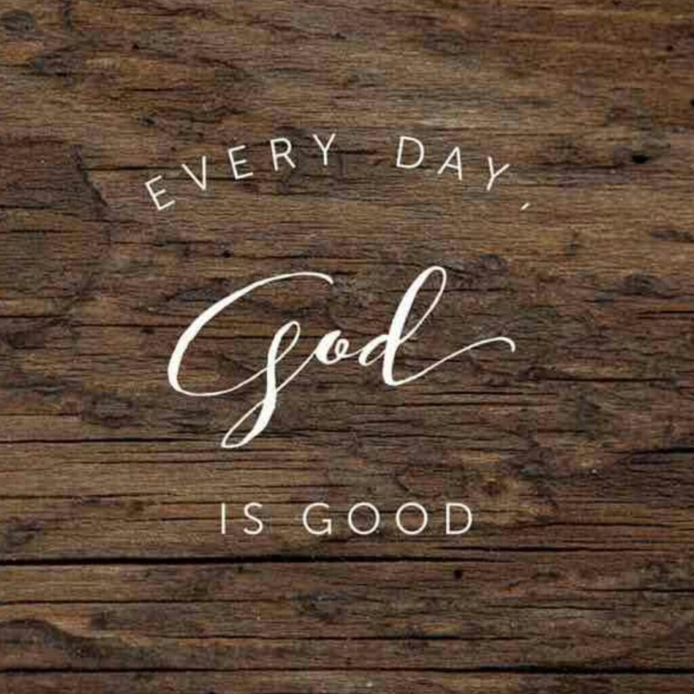 Meet your Posher, Rosa